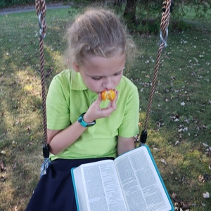 Fundraising Page: Evelyn Mastrine